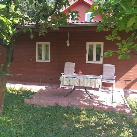 Apartament Rustic Country House In Snagov Zewnętrze zdjęcie