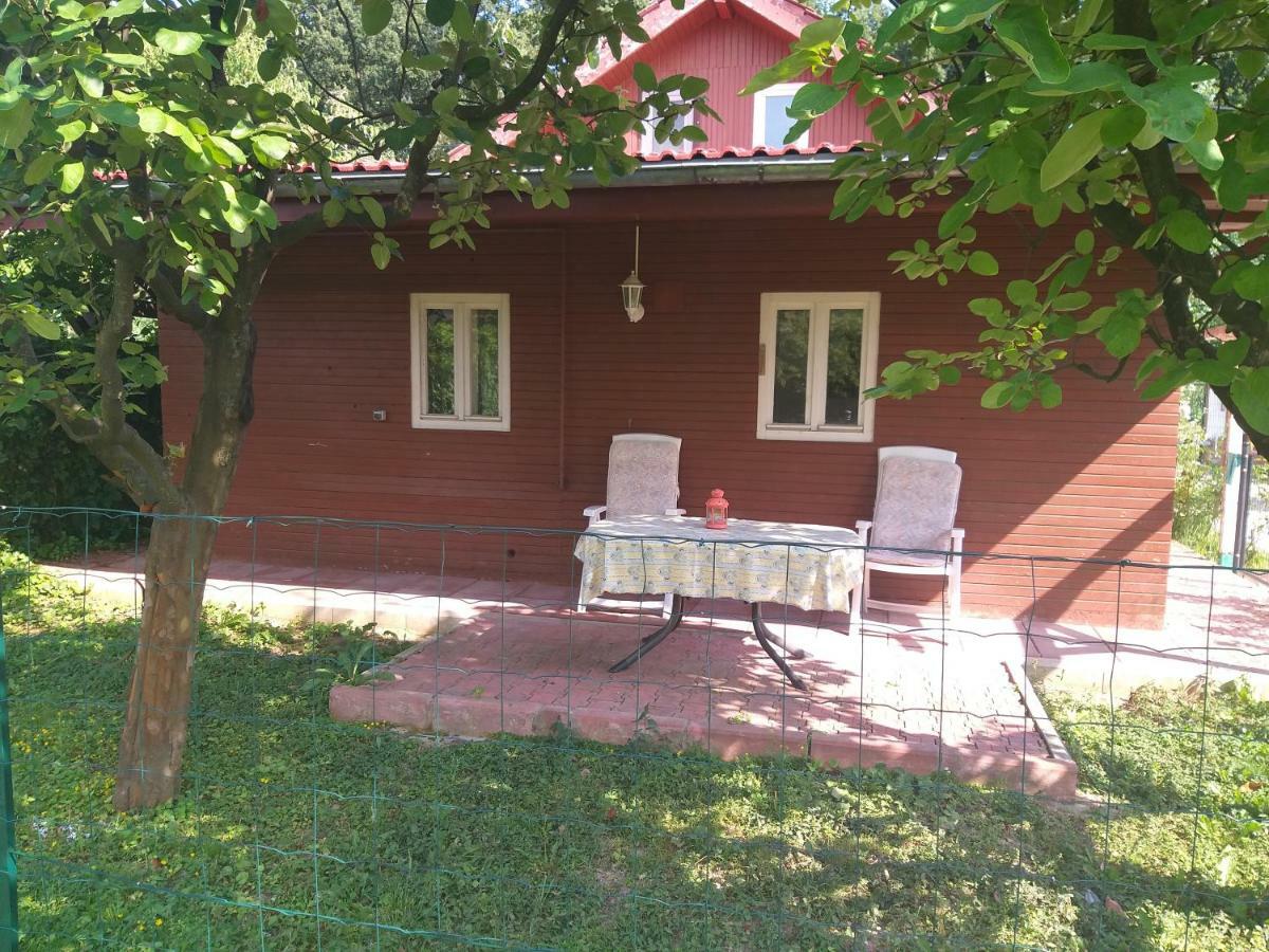 Apartament Rustic Country House In Snagov Zewnętrze zdjęcie